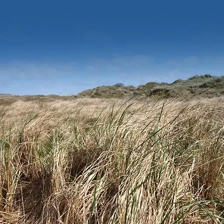 Winterstrasse 17 - Rubin Apartamento *