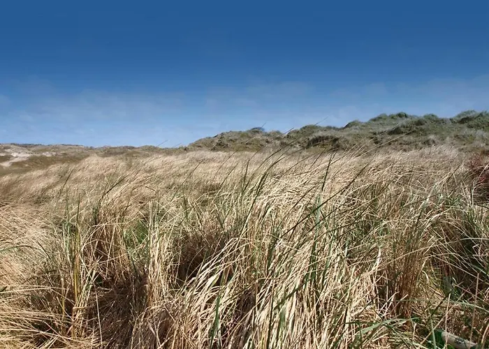 Winterstrasse 17 - Rubin Apartment *