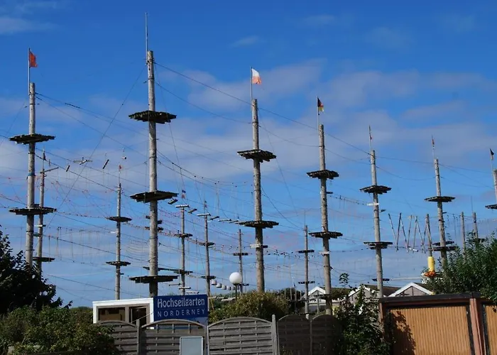 Winterstrasse 17 - Rubin *